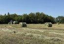 Тюкування сіна у Подільському районі проходить у плановому режимі
